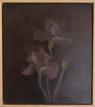 Load image into Gallery viewer, Night Bloomed Irises
